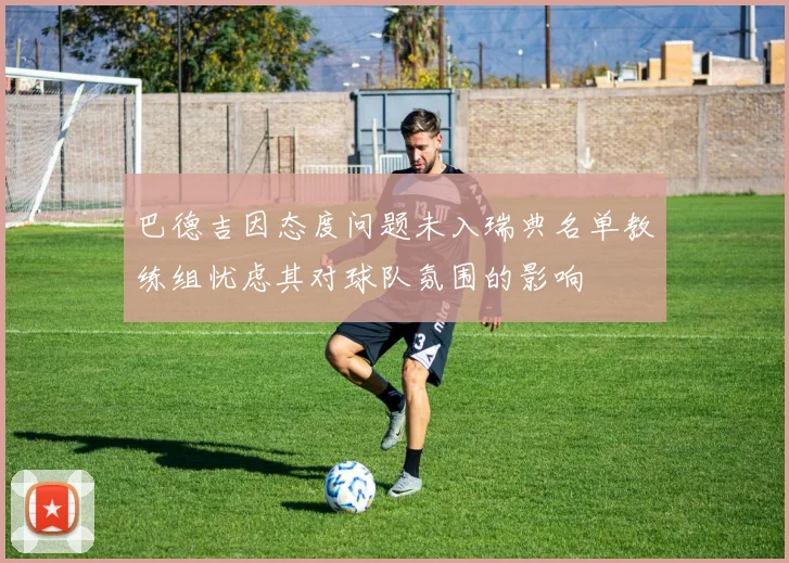 巴德吉因态度问题未入瑞典名单教练组忧虑其对球队氛围的影响